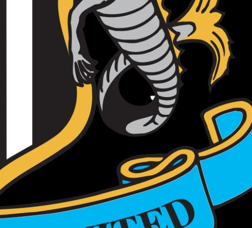 Newcastle_United_Logo.svg-01.thumb.jpeg.969862680267c4d1cc66311de23a25d2.jpeg