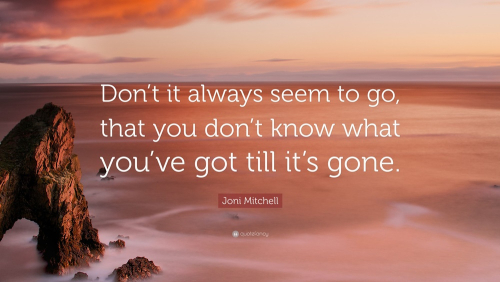 4702814-Joni-Mitchell-Quote-Don-t-it-always-seem-to-go-that-you-don-t-know.jpg