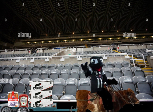 empty-stadium-at-st-james-park-home-to-newcastle-united-with-the-gallowgate-A6TBH7 (1).jpg