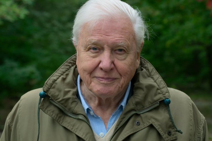 david-attenborough-a-life-on-our-planet-2509b-449520087.thumb.jpg.831a5ad8c5765b51309c8bd58086ff5f.jpg