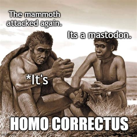 OIP-4220821062.jpeg.96e029f061857dc61bba9d1259d69811.jpeg