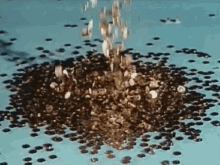 copyImage.gif.55704029cb1b38c7ea1200e52fb8423b.gif