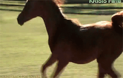 copyImage.gif.536819978c215bf8f737ef46e01df46d.gif