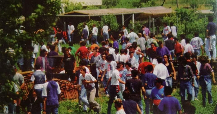 uff880_1993.jpg