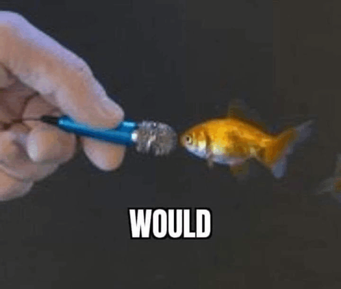 image.png.48aa6946bb050dd370f510cd62b9e81e.png