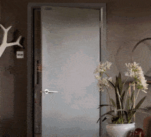 image.gif.20c2d4b80352f002925b2d453c910d03.gif